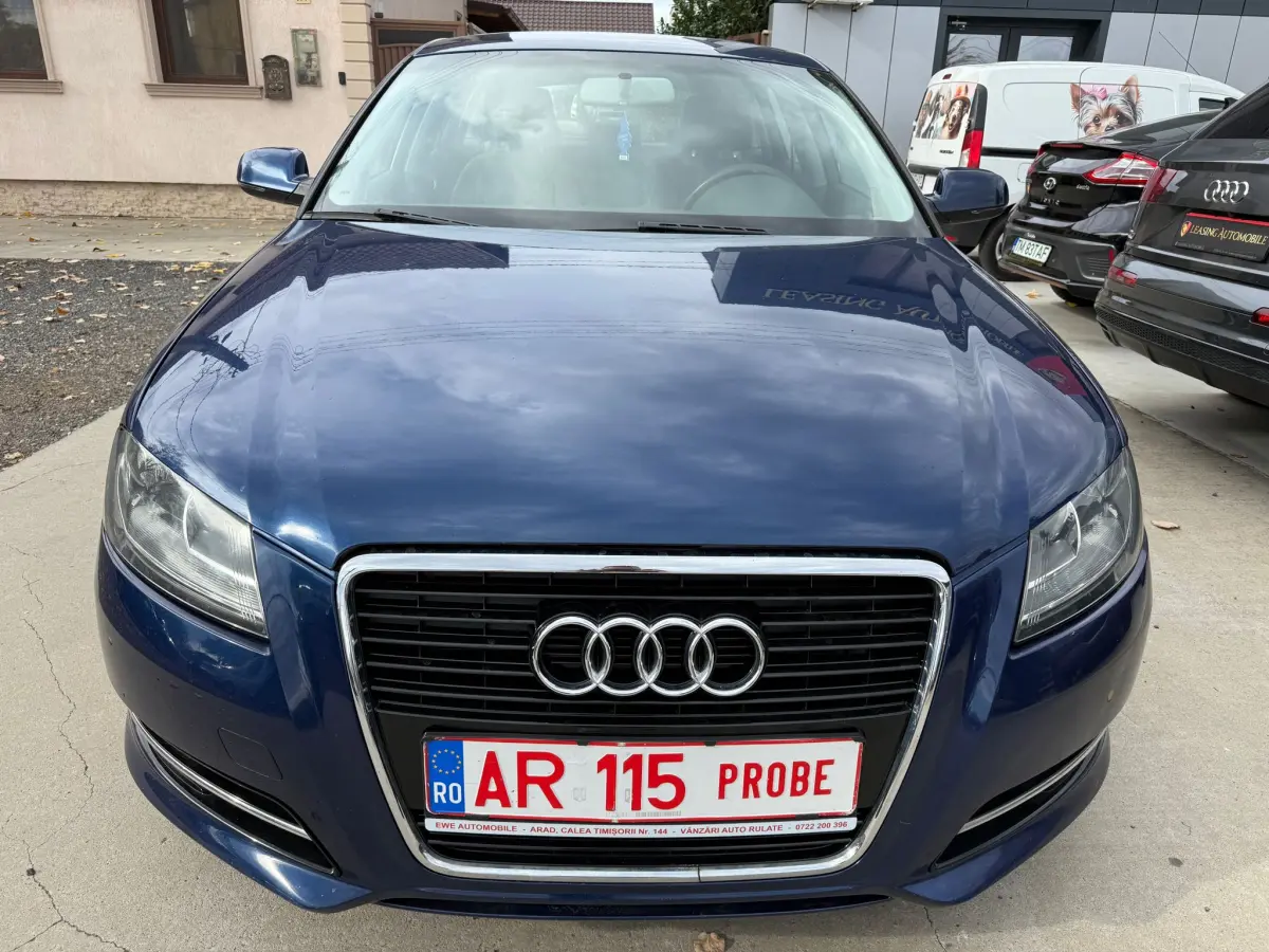 Poza principală