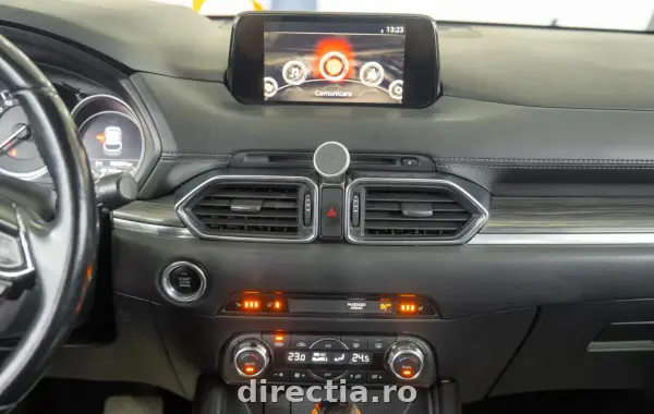 Poza anunț 19