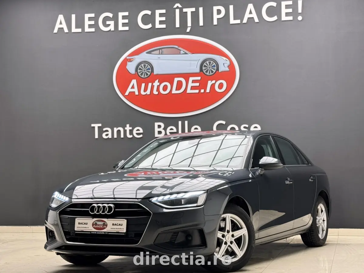 Poza principală