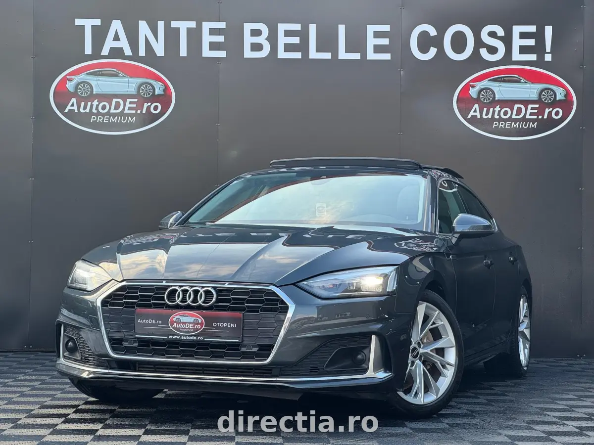 Poza principală