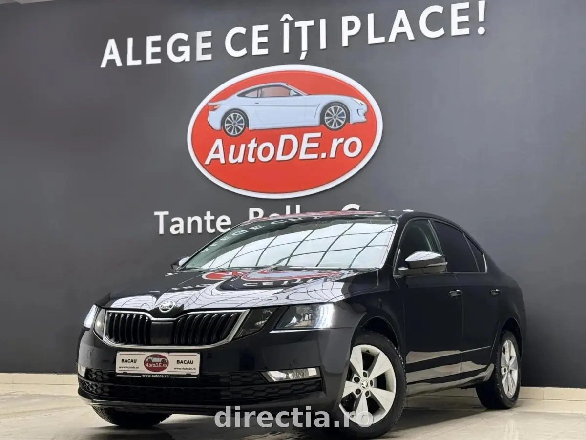 Poza principală