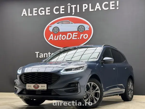 Poza anunț 1