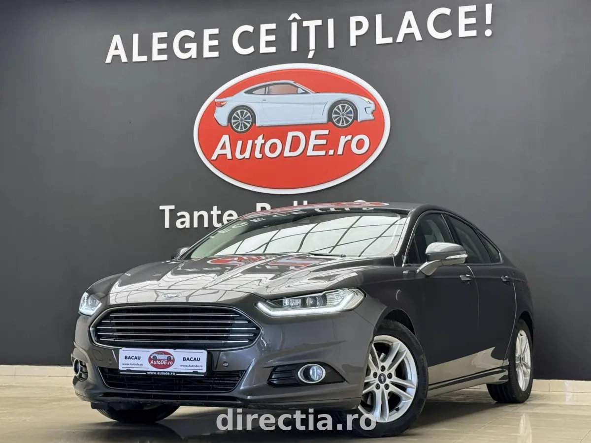 Poza principală