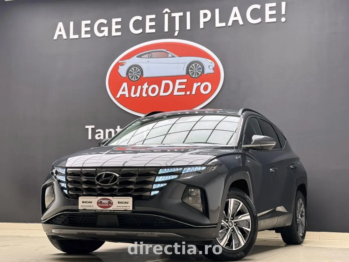 Poza principală