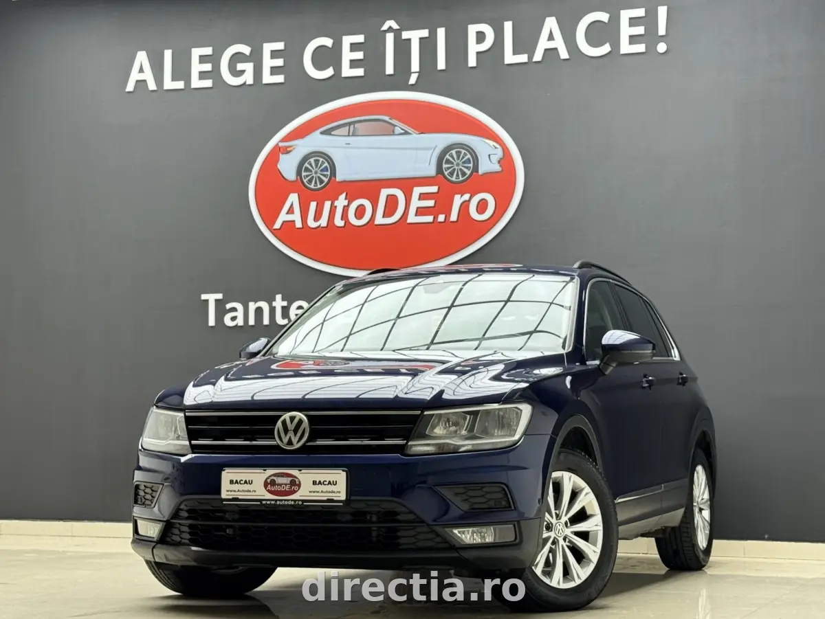 Poza principală