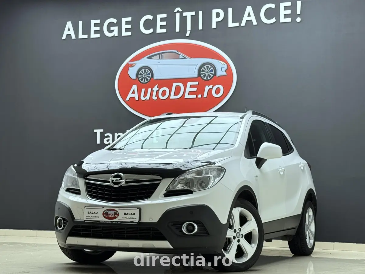 Poza principală