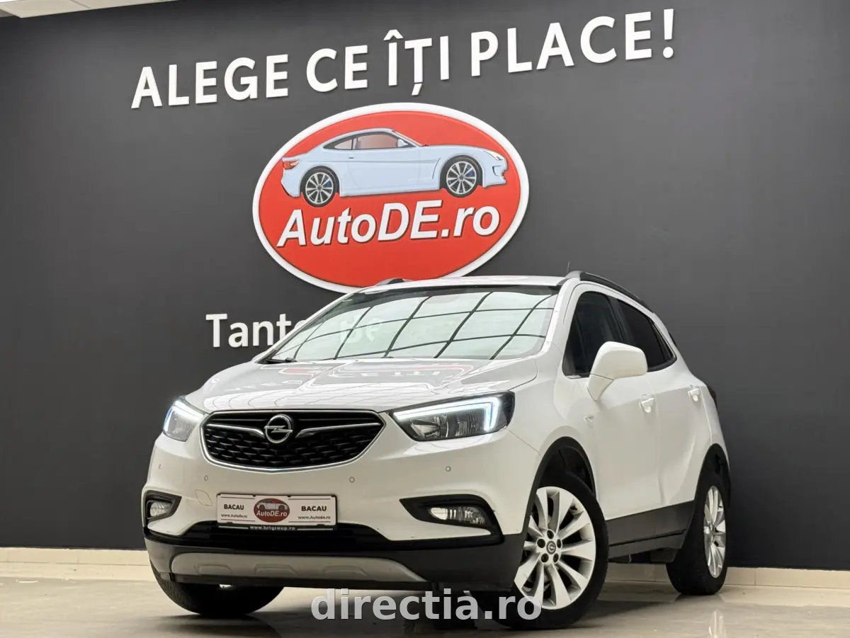 Poza principală