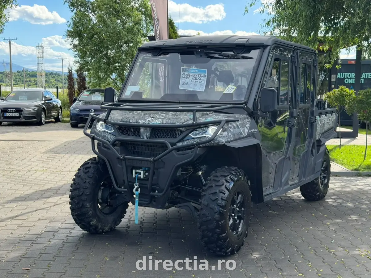 Poza principală