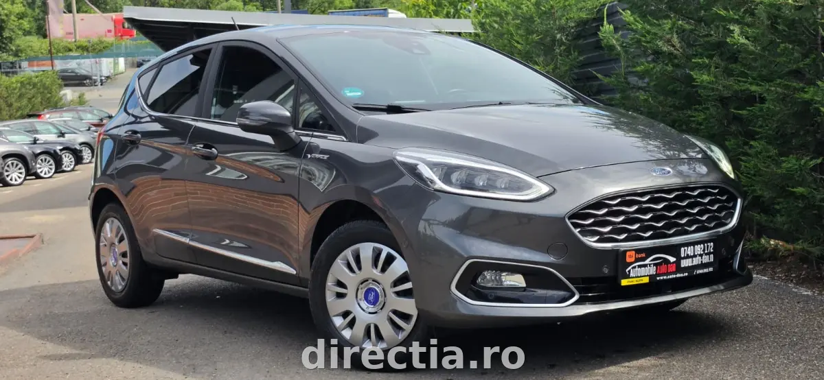Poza principală