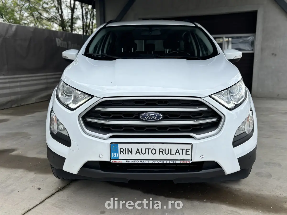Poza principală