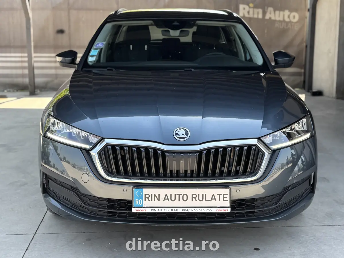 Poza principală