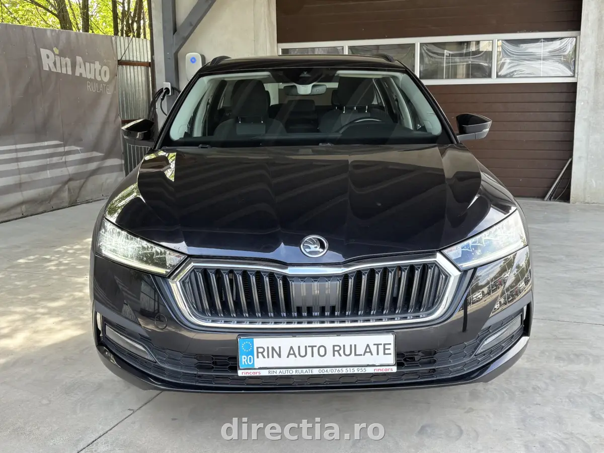 Poza principală