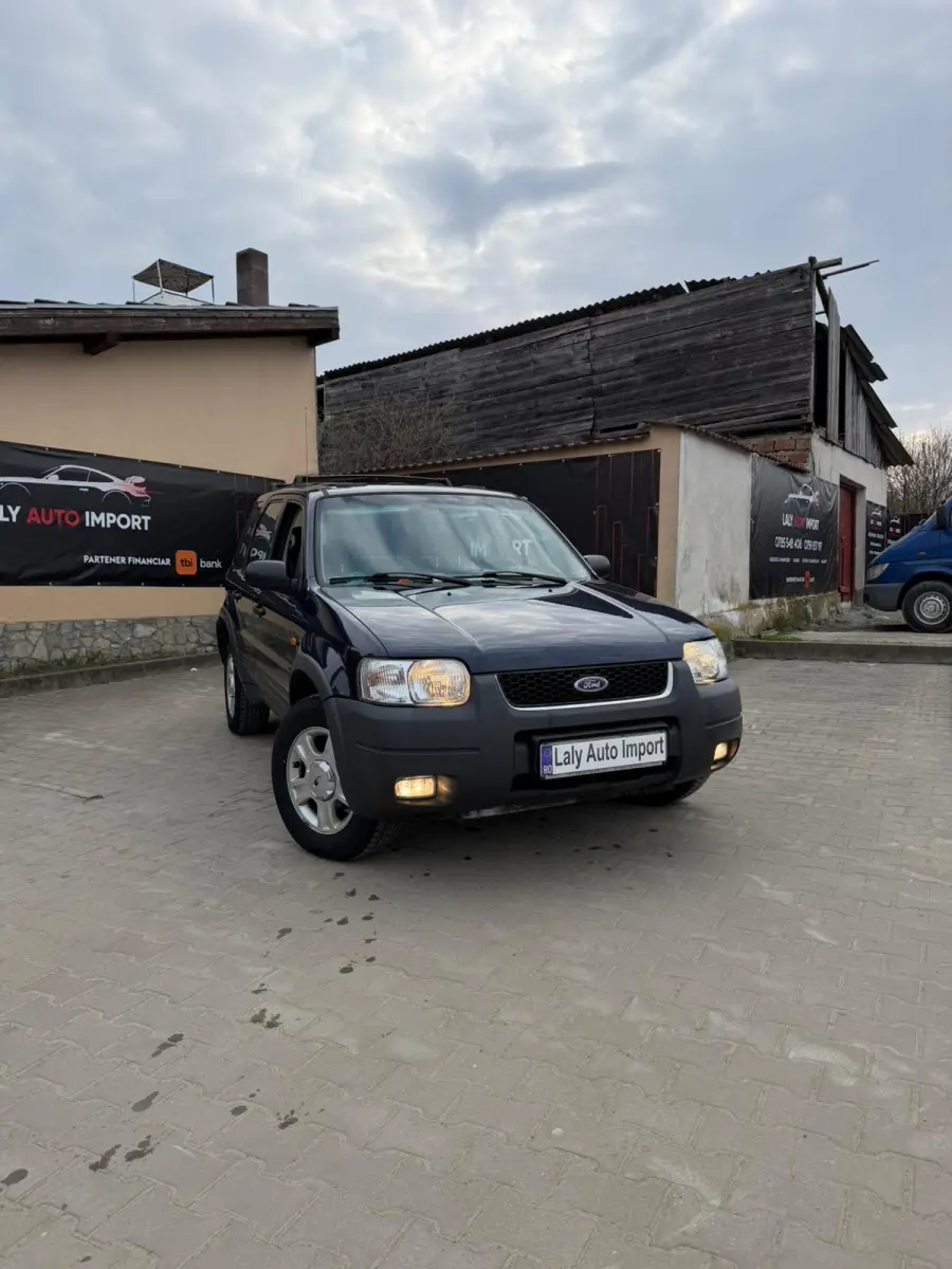 Poza principală