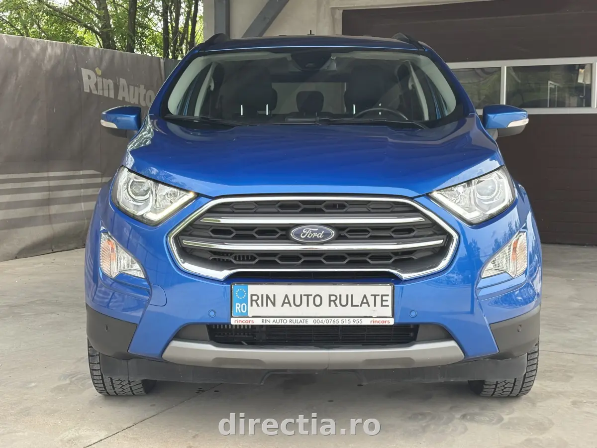 Poza principală