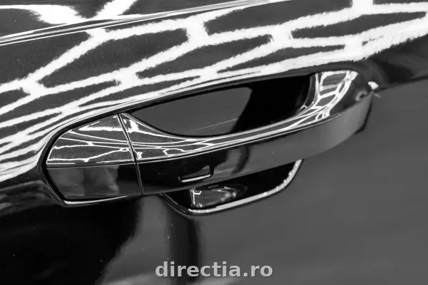 Poza anunț 28