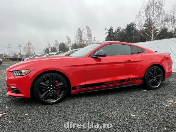 Poza anunț 7
