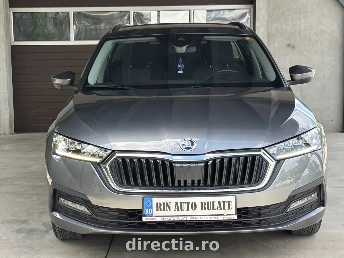 Poza principală