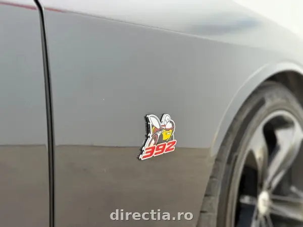 Poza anunț 25