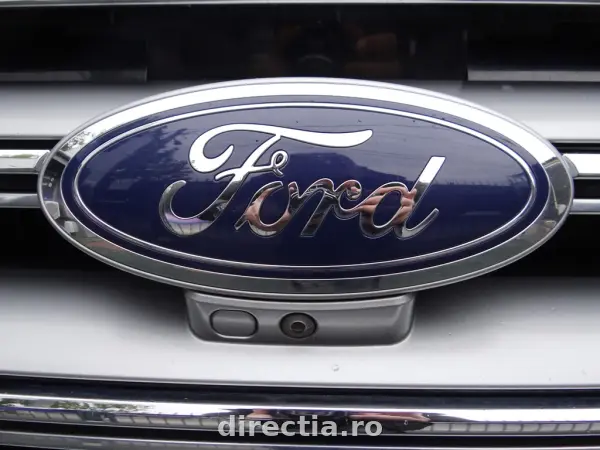 Poza anunț 7