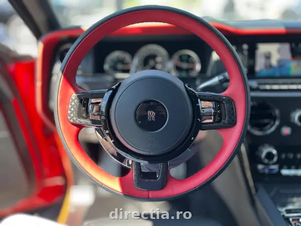 Poza anunț 13