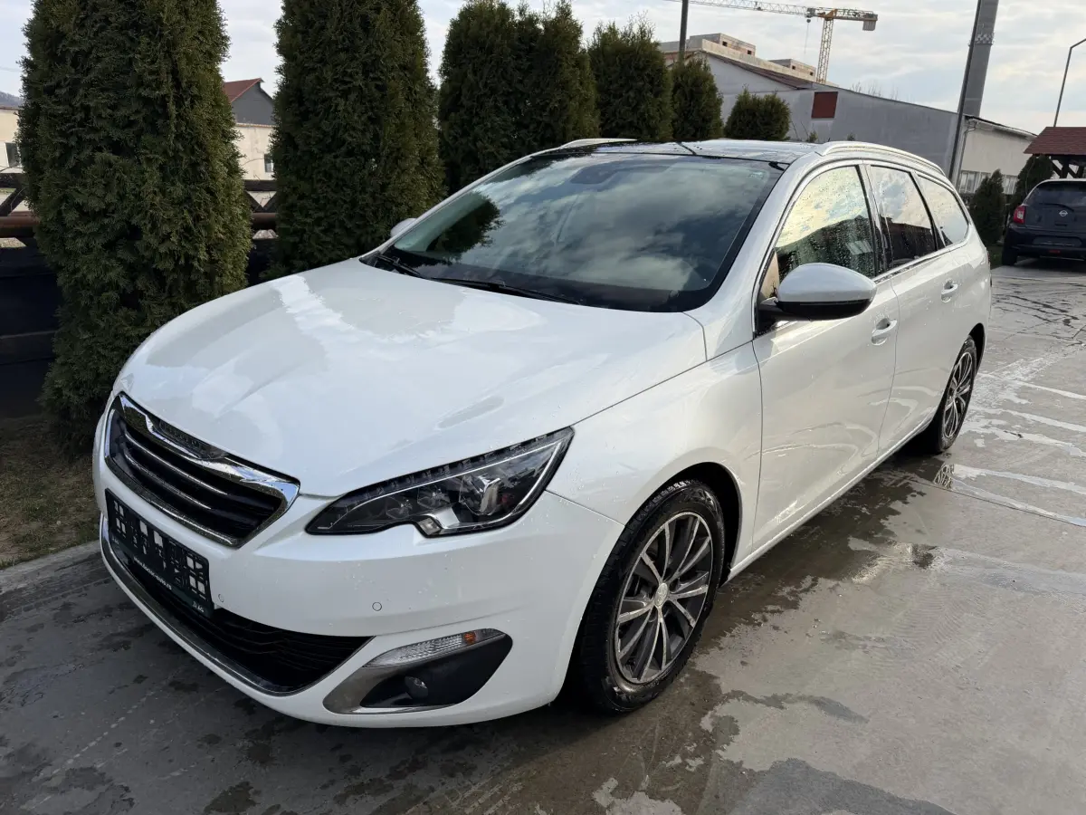 Poza principală