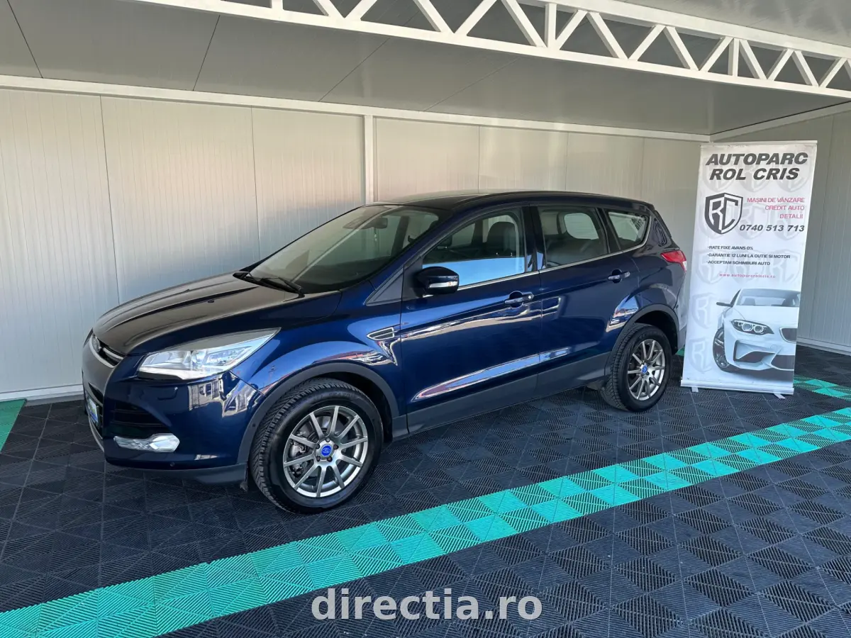Poza principală