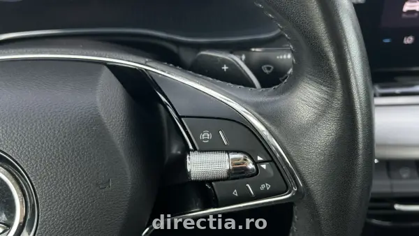 Poza anunț 20