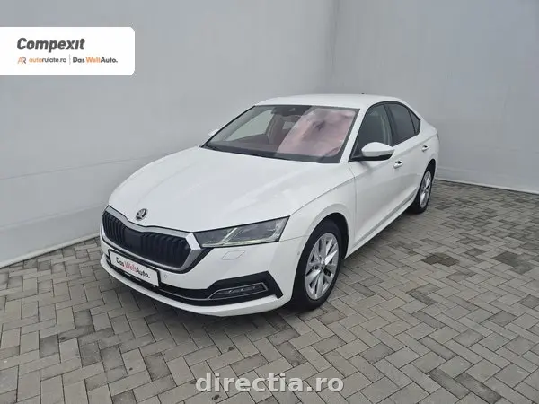 Poza principală