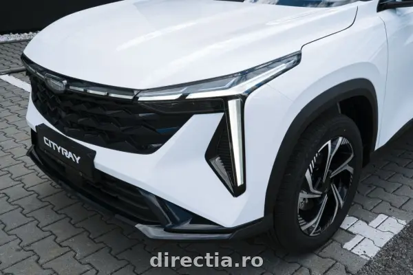 Poza anunț 31