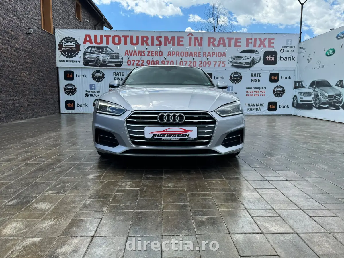 Poza principală