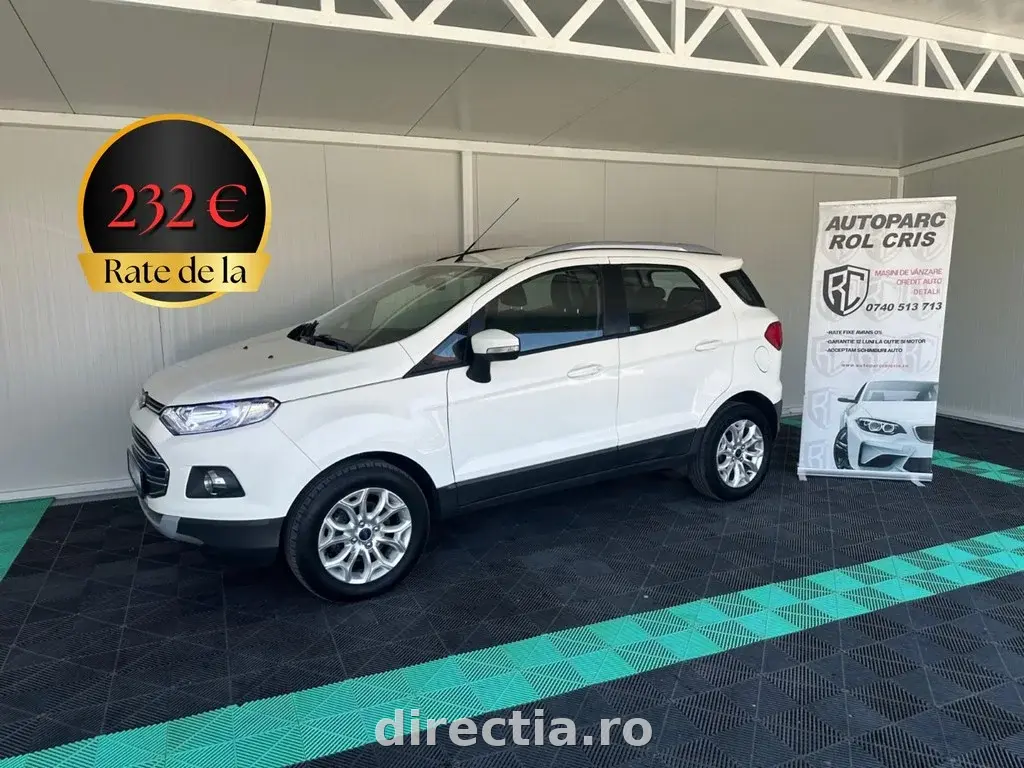 Poza principală