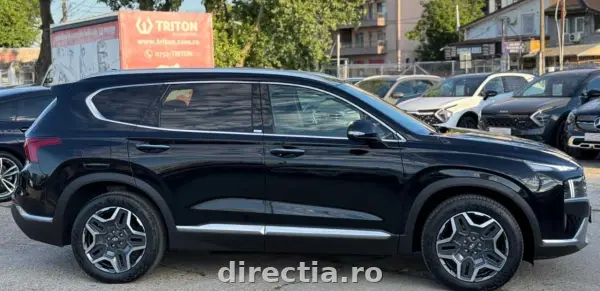 Poza anunț 10