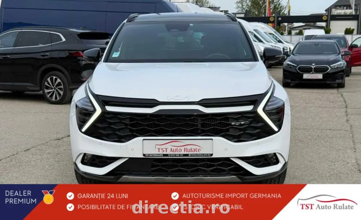 Poza principală