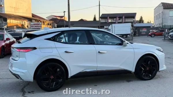 Poza anunț 9