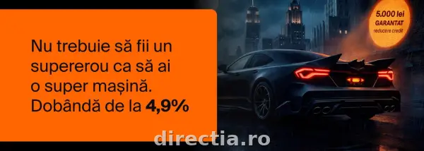 Poza anunț 18