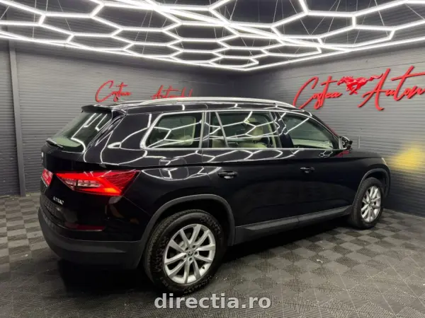 Poza anunț 29