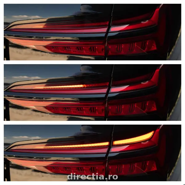 Poza anunț 13