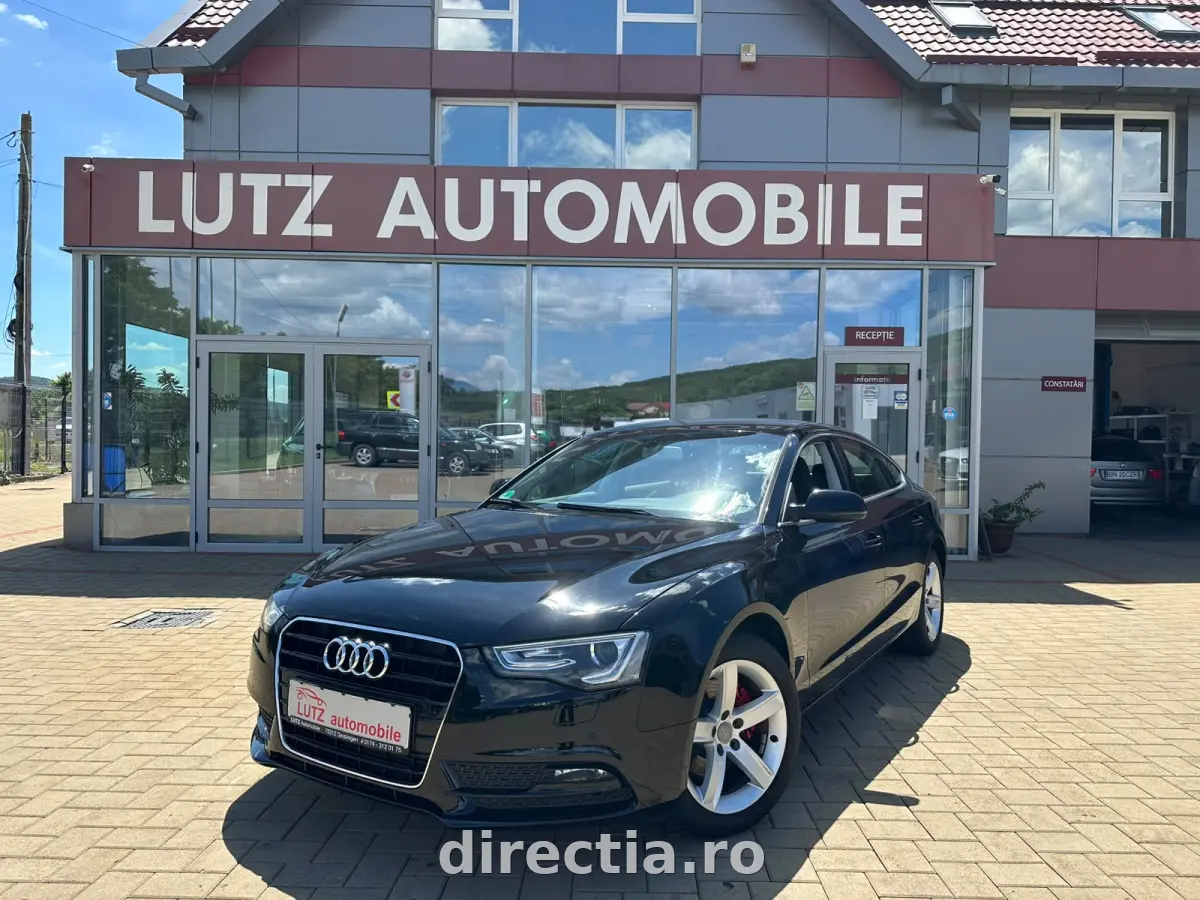 Poza principală