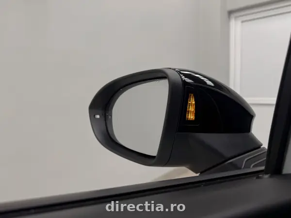 Poza anunț 20