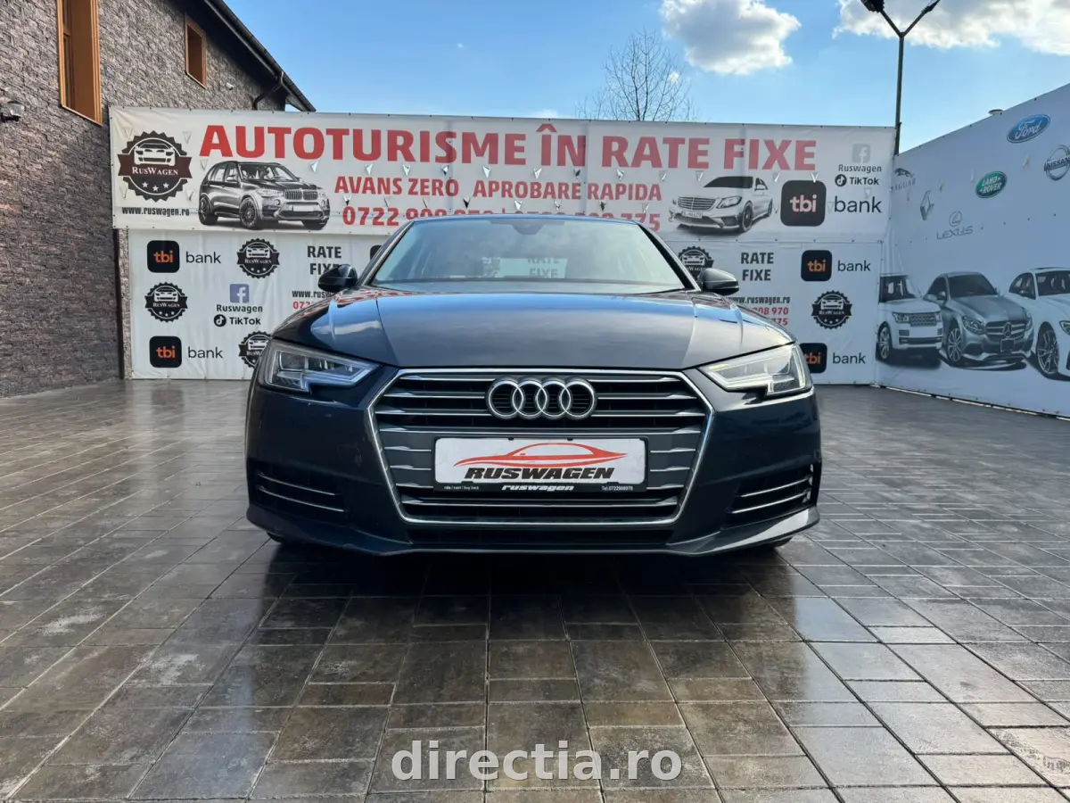 Poza principală