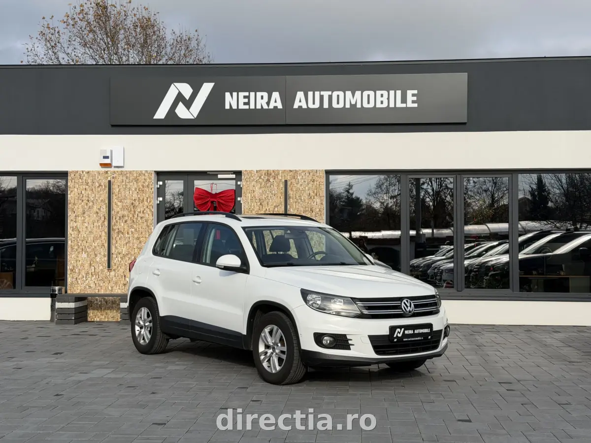 Poza principală