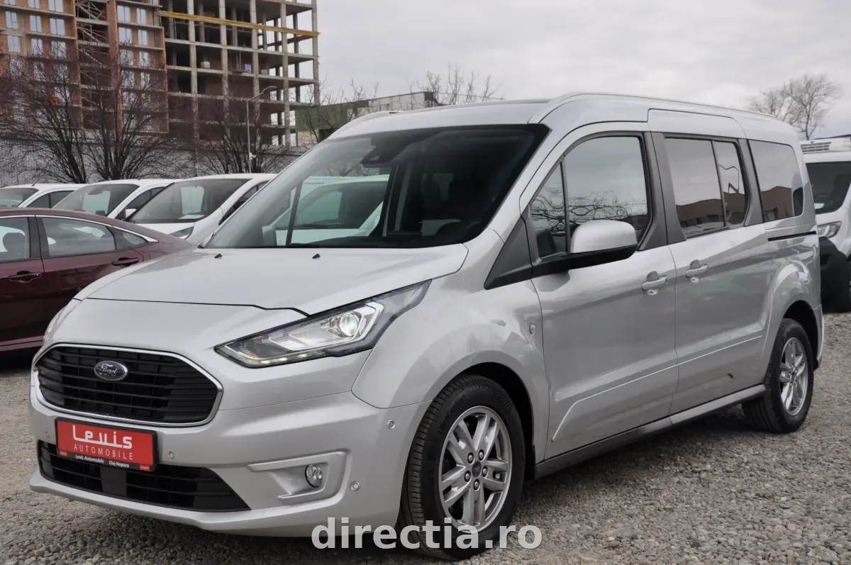 Poza principală