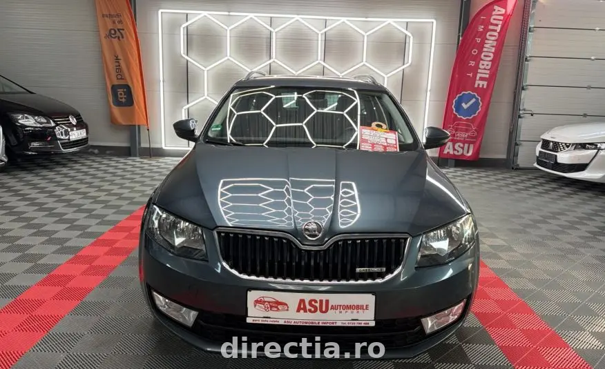 Poza principală