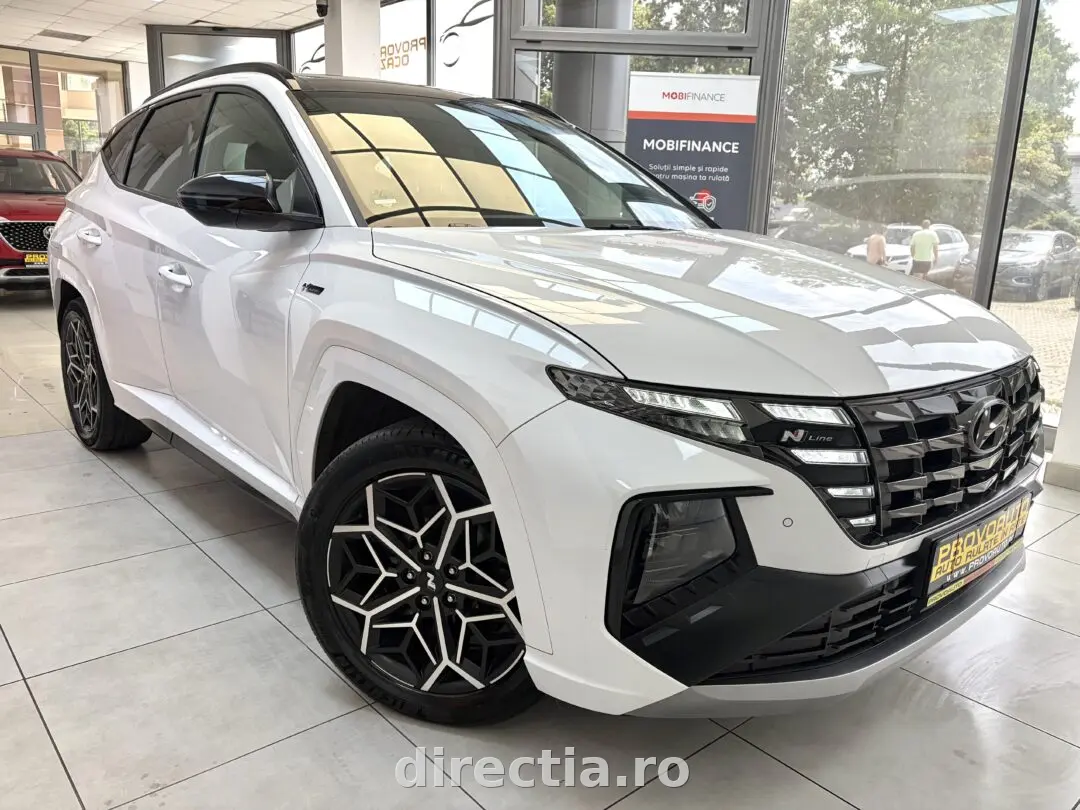 Poza principală