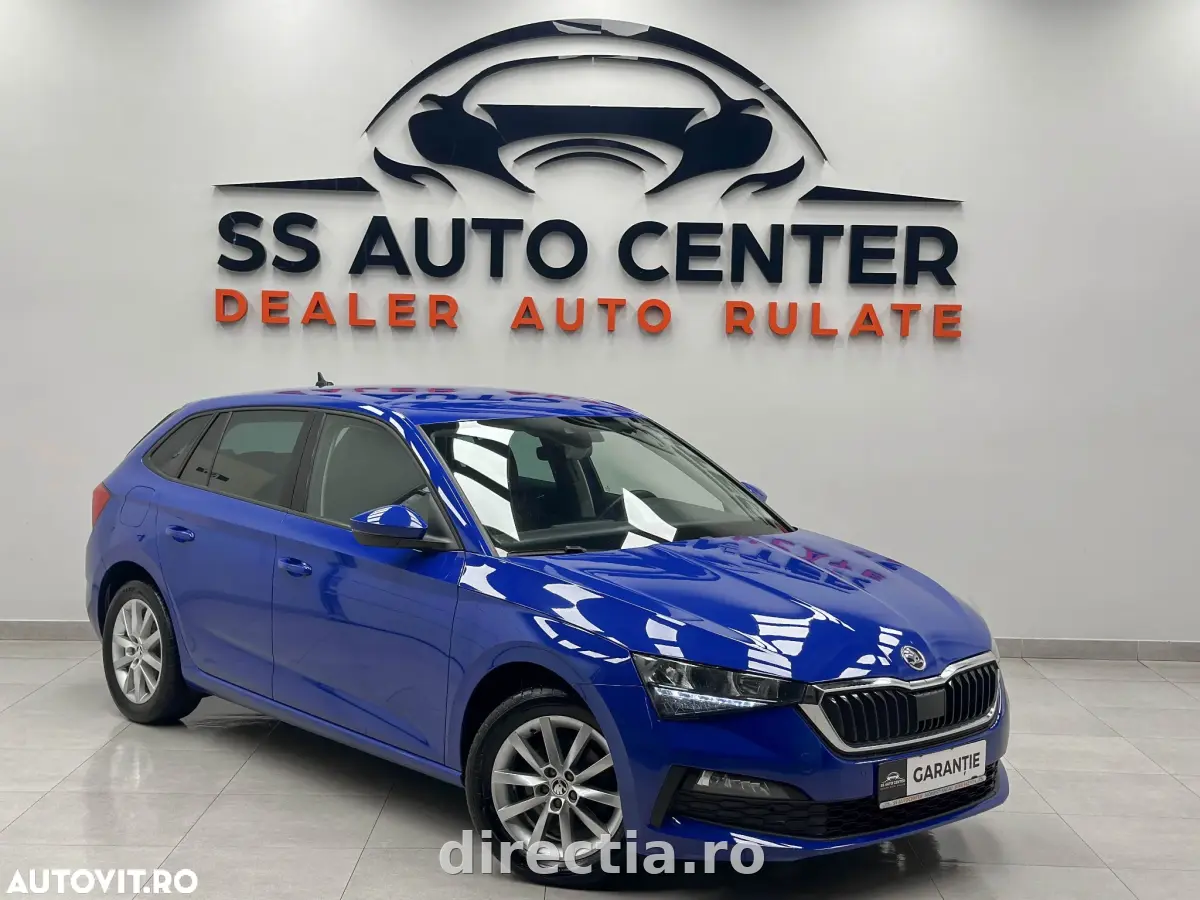 Poza principală