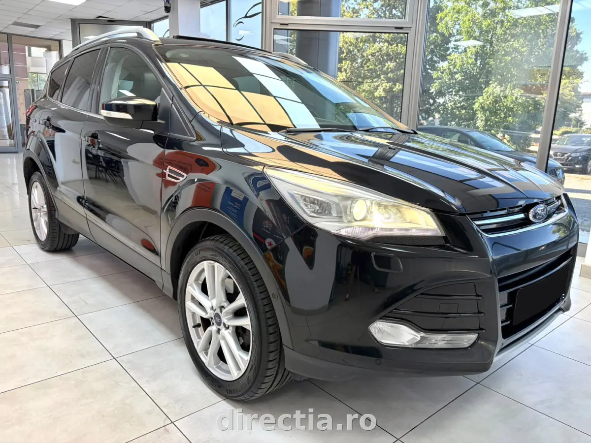 Poza principală