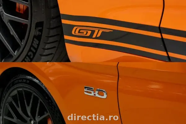 Poza anunț 9