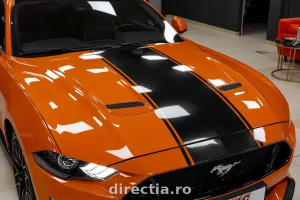 Poza anunț 19