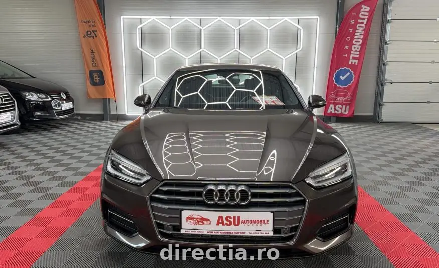 Poza principală