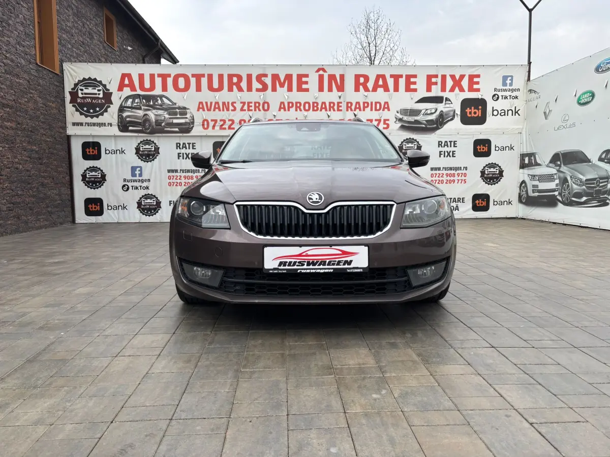 Poza principală
